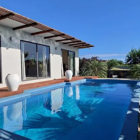 The Tropical Paradise